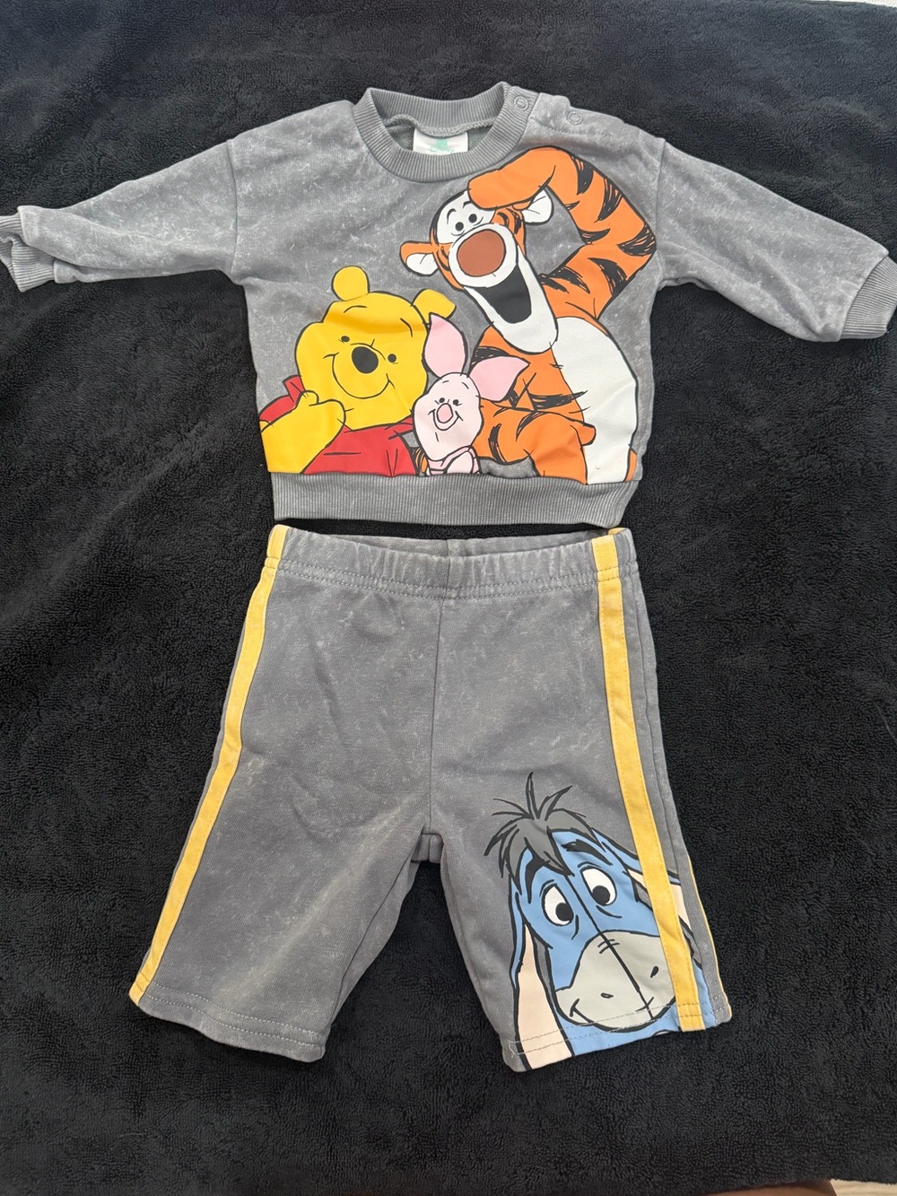 Disney Winnie the Pooh 2-Piece Crewneck and Pants Set